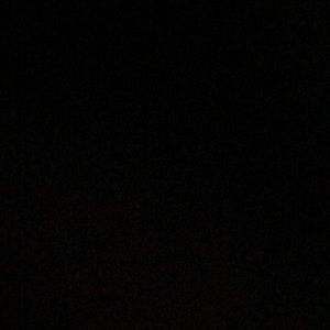 Meet your Posher, Brayden